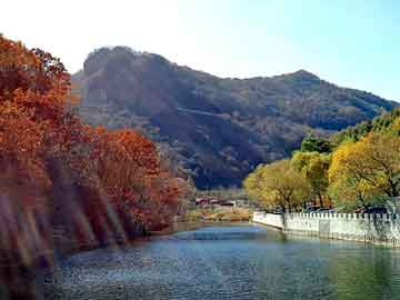 澳门天天免费精准大全，永寿seo建站